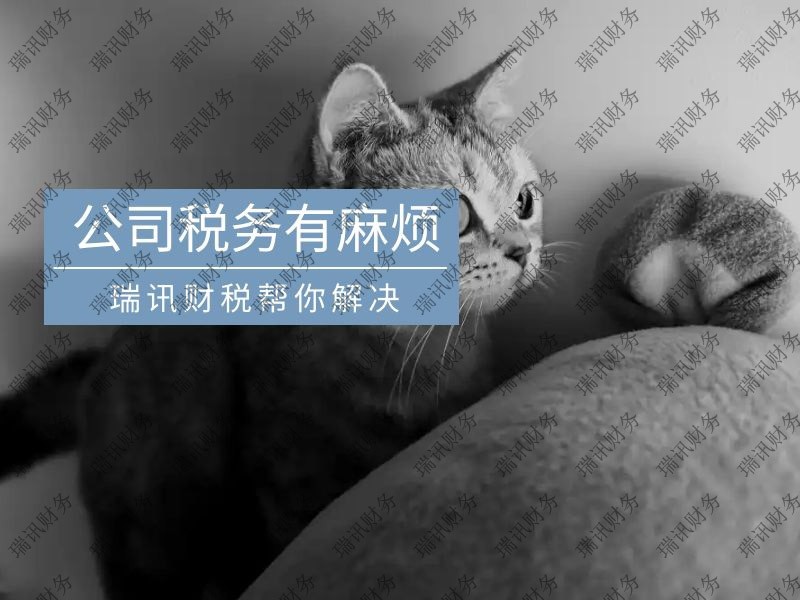 新注冊公司什么時候開始稅務申報(新注冊的公司如何建賬報稅)